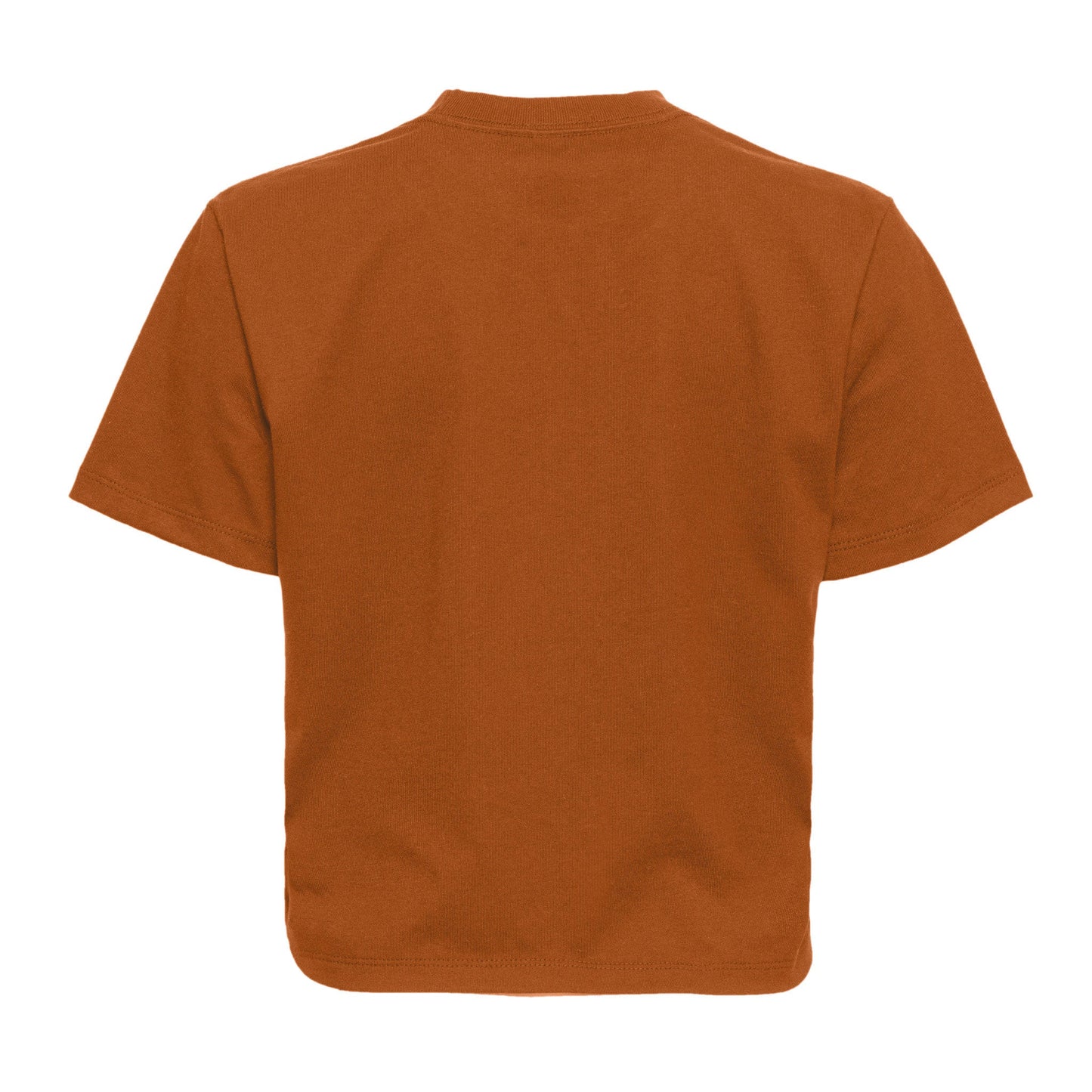 Women's Heavyweight High Waist Boxy T-Shirt - Clay - The American Threads